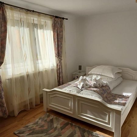 Pensiunea Ana Cristina Sighişoara Buitenkant foto