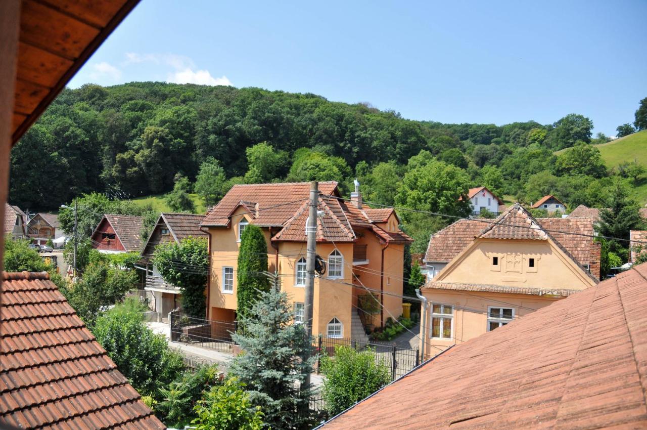 Pensiunea Ana Cristina Sighişoara Buitenkant foto