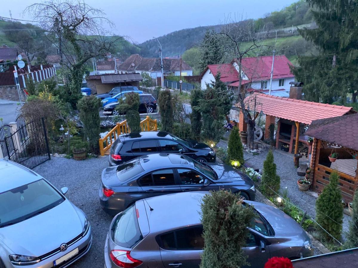 Pensiunea Ana Cristina Sighişoara Buitenkant foto