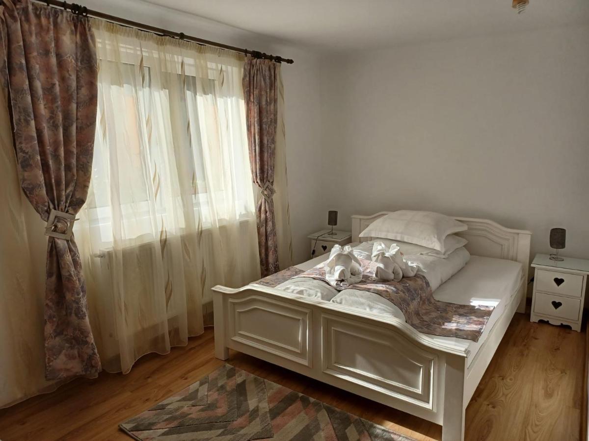 Pensiunea Ana Cristina Sighişoara Buitenkant foto